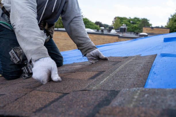 Best Roof Repair Services  in Carlisle, OH